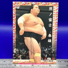 Terunofuji Haruo 08 8 Sumo Wrestler Trading Card BBM 2018 TCG Japanese #355a