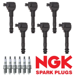 Ignition Coil & NGK Platinum Spark Plug for Porsche 911 Boxster 3.6L H6 UF544 - Picture 1 of 5
