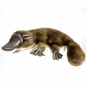 Australia Platypus Hansa Realistic Soft Animal Plush Toy 40cm **FREE DELIVERY** - Bild 1 von 3