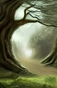 Impresión artística Misty Shire (¡11x17 firmada!!!) Antiguo árbol de paisaje de niebla irlandés inglés Reino Unido - Imagen 1 de 1