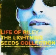 Best of-Life of Riley von Lightning Seeds von not spe... | CD | Zustand sehr gut - Bild 1 von 2