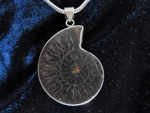 Fossil Ammonite .925 Sterling Silver Pendant w/ 3mm  20" .925 Snake Necklace B - Bild 1 von 9