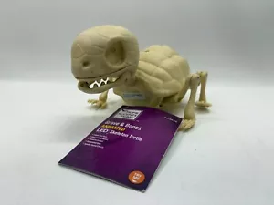 Home Accents Urlaub Grab & Knochen animierte LED Skelett Schildkröte - Bild 1 von 7