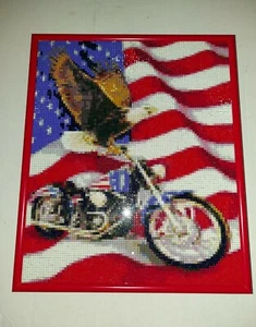 COMPLETADO Pintura de diamante American Eagle Flag Diseño de motocicleta MetalFrame10x12 - Imagen 1 de 8