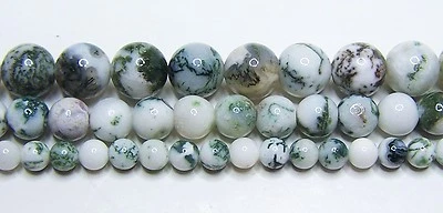 ARIZONA GEMS AND MINERALS INC. AAA Tree Agate Beads 4mm-6mm-8mm-10mm Real Stone 15.5" Strand