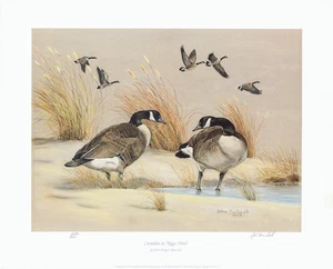 John MacLeod rompiendo los gansos de hielo 23x18,75 pulgadas - Imagen 1 de 4