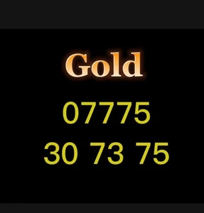 VIP Gold Mobile Number Easy Memorable SIM Platinum Diamond Business Vodafone - Zdjęcie 1 z 1