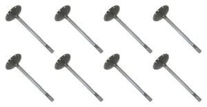 Válvula de admisión de motor Borg Warner BWD I-2388 para Ford 4,6 L 5,4 L 6,8 L (paquete de 8) - Imagen 1 de 2