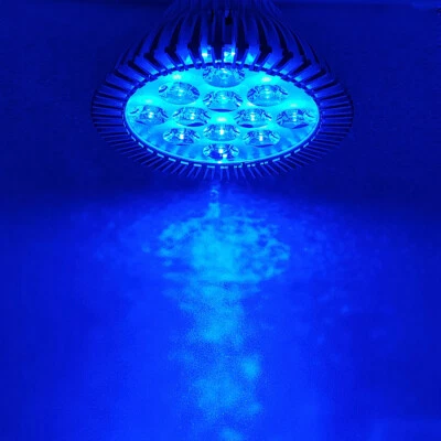 36W PAR38 Ice Blue 470nm~475nm LED Lamp Spot Light Bulb for Plant Aquarium - Image 1 of 4