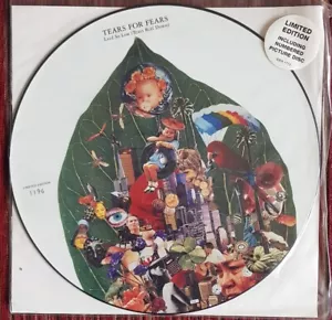 TEARS FOR FEARS LAID SO LOW RARE 12 INCH NUMBERED UK PICTURE DISC NEW, MINT - Picture 1 of 4
