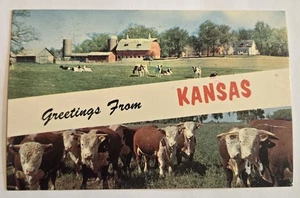 Vintage Used Greetings From Kansas Postcard Cattle Farm W1 - Picture 1 of 2
