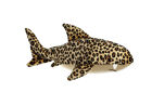 8 Inch Destination Nation Titanium Leopard Shark Plush Stuffed Animal by Aurora