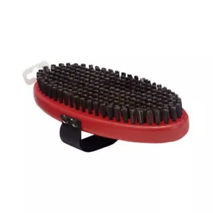 Cepillo de base de jabalí salvaje ovalado Swix T0164O | Equipo de ajuste premium para carreras de esquí - Imagen 1 de 1