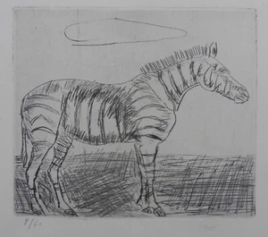 Antonio LIGABUE (Zurigo 1899 – Gualtieri 1965) Zebra Acquaforte cm 26x36 es 9/60 - Picture 1 of 16