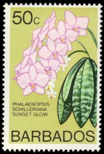 BARBADOS 407 (SG496) - Orchids "Phalaenopsis schilleriana" 1974 (pb79076) - Picture 1 of 1