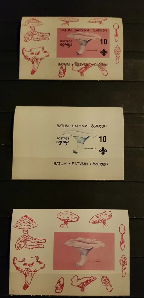 BATUM SCOUTING MUSHROOMS 3  BLOCKS  PROGRESSIVE PROOFS IMPERFORED MNH - Image 1 of 1