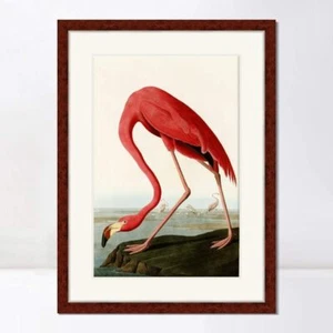 Framed Canvas Art Giclee Print American Flamingo by John James Audubon 28"x40" - Picture 1 of 4