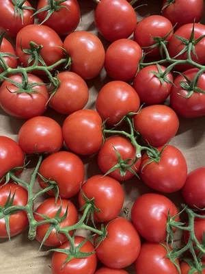 Heirloom Truss Tomato 50 Seeds Heavy Yielding Clusters – Sweet Juicy - Image 1 of 2