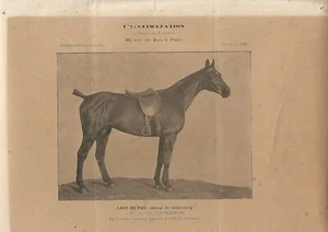 Antiker Fotodruck CAVALLO GIVE DE PAU 1913 Antique print horse - Bild 1 von 1