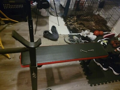 banco de pesas ajustable Foto 1 de 3