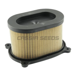 Air Filter for Suzuki SV650 1999 2000 2001 2002 13780-20F00 - Bild 1 von 5