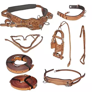 Full Size Horse Harness Set - Hand-Carved SBL Leather, Stainless Fittings - Picture 1 of 5