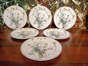 VILLEROY & BOCH Luxembourg BOTANICA - 6 Speiseteller Ø 24cm - Picture 1 of 5