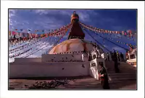 NEPAL Boudha and the pigeons Postkarte Tempel Temple Ansichtskarte ungelaufen AK - Picture 1 of 2