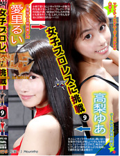 Female Women's Wrestling 1 HourÂ  DVD Japanese CHALLEGE GIRLS  MATCH A038