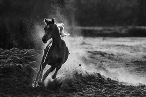 Stampa artistica giclée decollo di Mohammed Alnaser fotografia spedizione gratuita - Foto 1 di 4