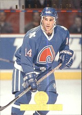 1994-95 Leaf Nordiques Hockey Card #494 Dwayne Norris