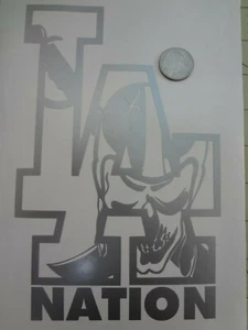 LA Raiders Nation car decal   - Picture 1 of 4