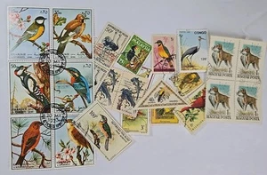 Joystamp: Briefmarkensammlung Weltweit Vögel gebraucht/postfrisch 25ps Motiv - Bild 1 von 1