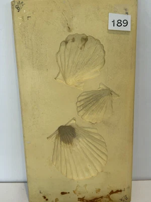 Оболочка бумаги литья пресс-формы, воздуха сухой глины и глины формы #189 - Изображение 1 из 4