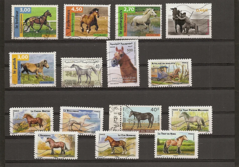 lot 15 timbres oblitérés races de CHEVAUX - Photo 1/1