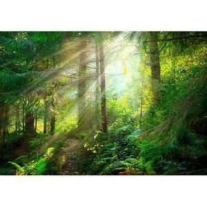 66"x96" - Large Self-Adhesive Misty Forest Wall Mural Wallpaper - Picture 1 of 2