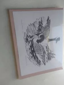 D. Standerwick Canada Geese Unframed Print New - Picture 1 of 3