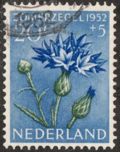 1952 Netherlands Sc #B242 Cornflower - Used semi-postal stamp Cv$8 - Picture 1 of 1