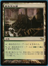 Wooded Bastion Shadowmoor (JAPANESE) NM Land Rare MTG CARD (ID# 180790) ABUGames