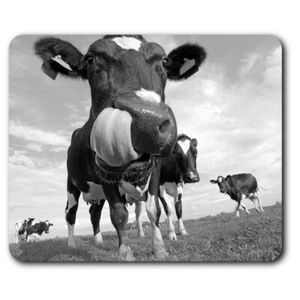 Rectangle Mouse Mat BW - Cool Dairy Cow Friesian #36512 - Afbeelding 1 van 8