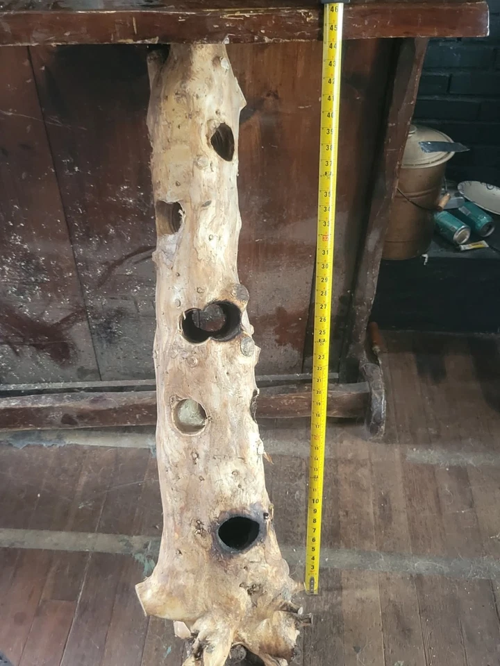 Fish And Reptile Hide - Image 1 of 1