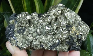 Kristalle Pyrit & Sphalerit Madan 8,5x6,5cm Bulgarien Mineral Sammlung selten - Bild 1 von 8