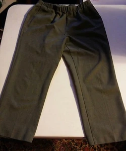 039 Woman's TanJay Petites 12P Elastic Waist Casual Pants Green - Picture 1 of 5