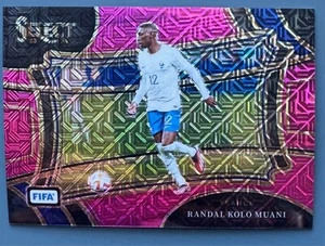 2023-24 Panini Select FIFA Pink Mojo #227 Randal Kolo Muani/199 - Imagen 1 de 2
