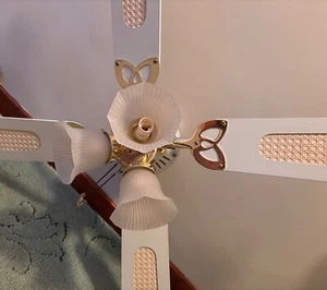 Westinghouse Ceiling Fan Light - Picture 1 of 12
