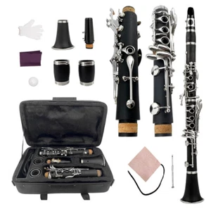 Nuevo Clarinete Llave C Madera Ebonita Llaves Chapadas en Níquel Con Estuche Buen Sonido - Imagen 1 de 10