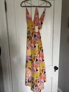 Hutch Watermelon Maxi Dress Lee Sleeveless New Small S Printed Anthropologie - Picture 1 of 3