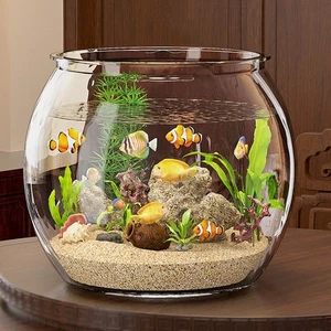 Goldfish Bowl Round Fish Bowl Ultra Clear Fish Viewing Tank Tabletop Ornament - Picture 1 of 16