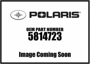 Polaris 2018-2020 Sportsman 570 Foil Fiber Rh Access Door 5814723 New Oem - Picture 1 of 1