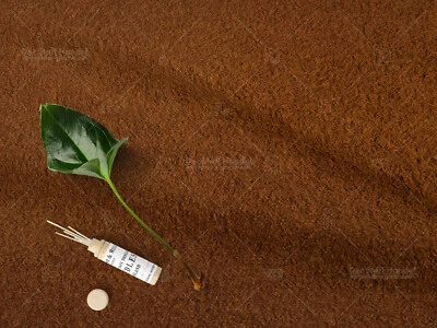 Wolle Walkloden Walk Mantelstoff Trachtenstoff Wollstoff OCKER EUR 26,98/m - Bild 1 von 2